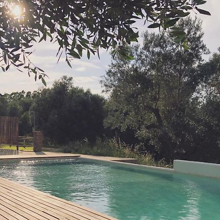 Agriturismo Casette Del Forno Montalto di Castro Dış mekan fotoğraf