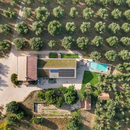 Agriturismo Casette Del Forno Montalto di Castro Dış mekan fotoğraf