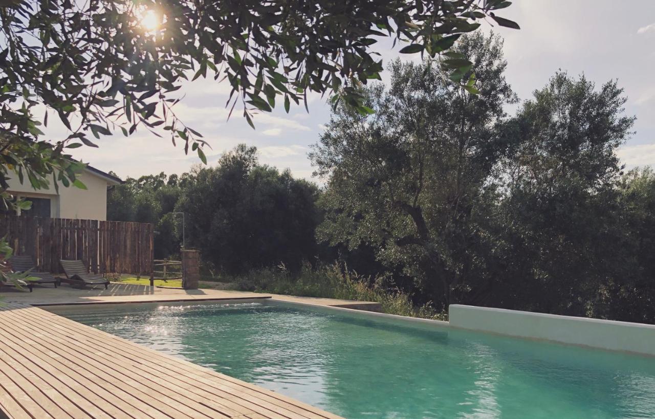 Agriturismo Casette Del Forno Montalto di Castro Dış mekan fotoğraf